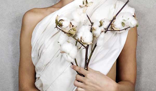 Vải cotton organic vật liệu hữu cơ thận thiện môi trường