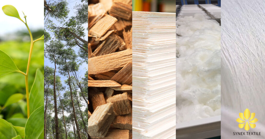 Sợi Cellulose tái sinh, giao thoa giữa sợi tự nhiên và nhân tạo