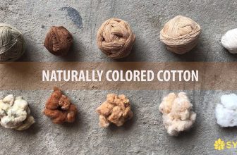 Vải Cotton màu tự nhiên