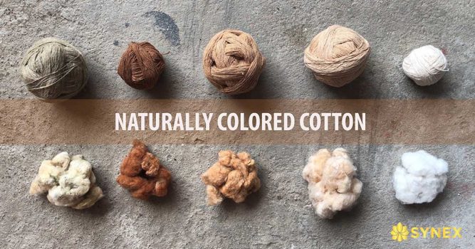 Vải Cotton màu tự nhiên