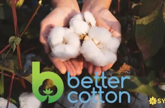 BCI Cotton synex