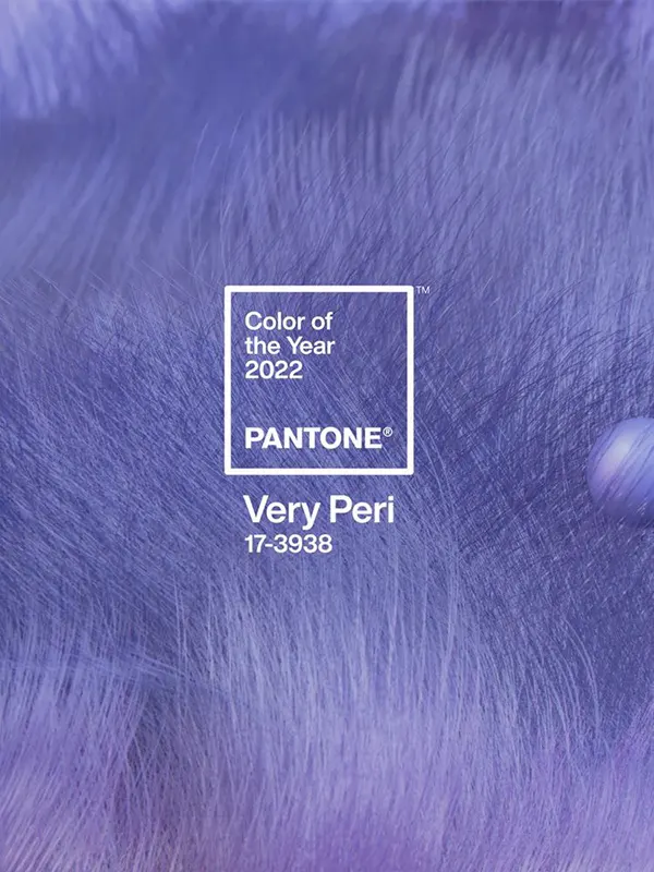 2022: PANTONE 17-3938 Very Peri