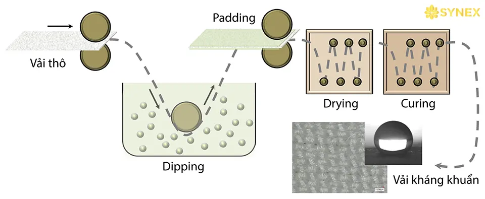 Quy trình xử lý kháng khuẩn dip-pad-dry-cure