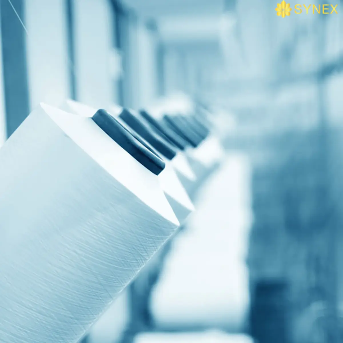 SOI THUN POLYESTER 1