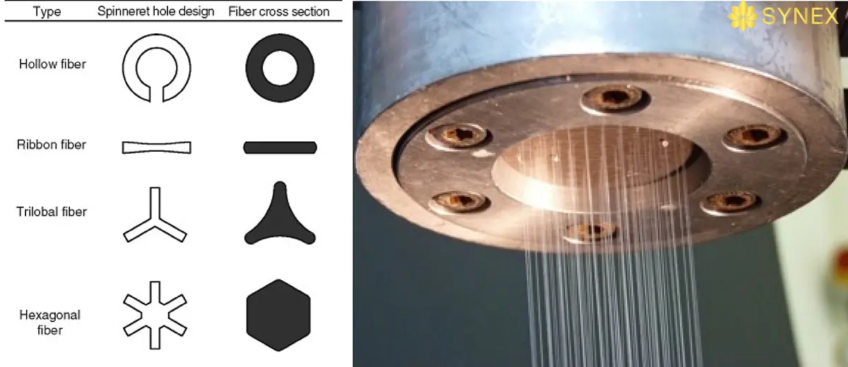 THIET KE DAU PHUN HINH THANH HINH DANG SOI POLY