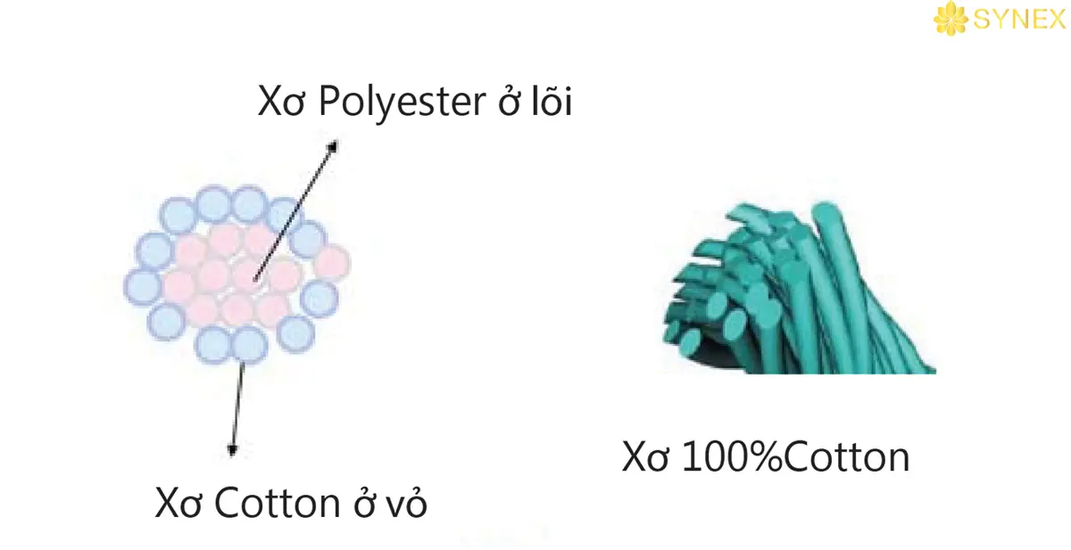 hinh anh mat cat ngang cua soi ring va soi mvs