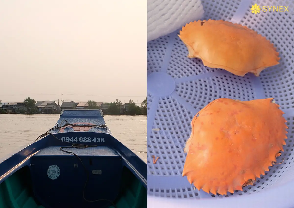 ngu dan ca mau tai trang trai nuoi cua cua 4ps