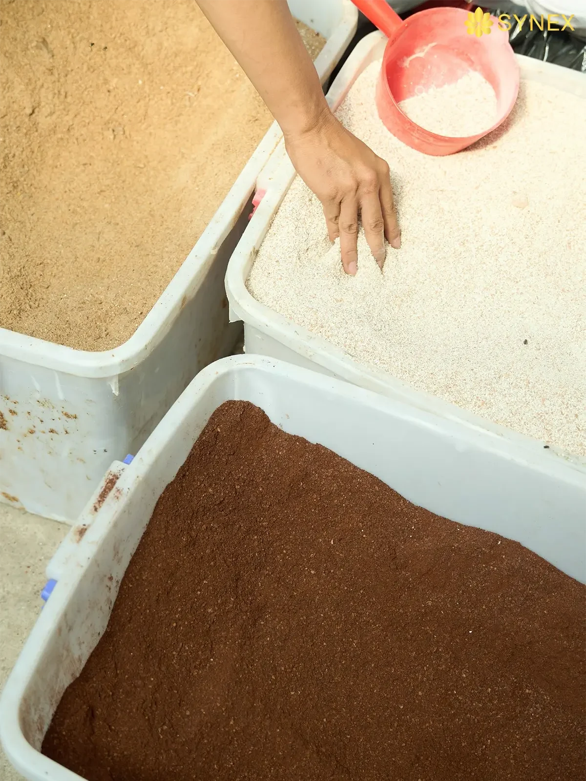 phan bon huu co tu rac thuc pham cua 4ps edited