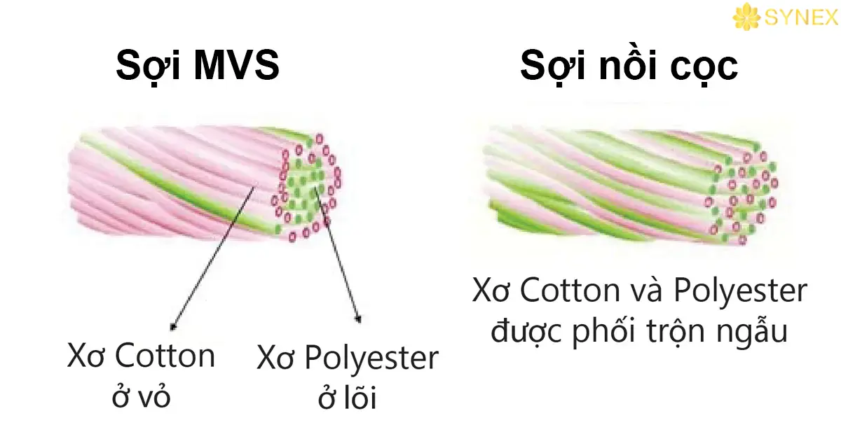 su phan bo xo khac nhau tren soi MVS va soi Ring