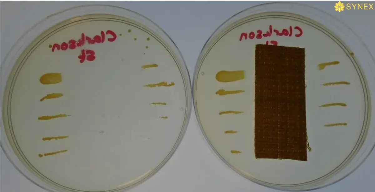Mau thu da cay vi khuan staphylococcus