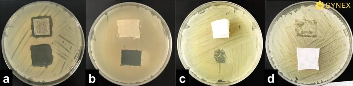 Quan sat ket qua thu nghiem tren dia