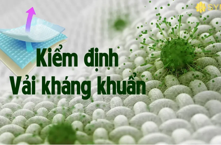 Quy trình kiểm định vải kháng khuẩn