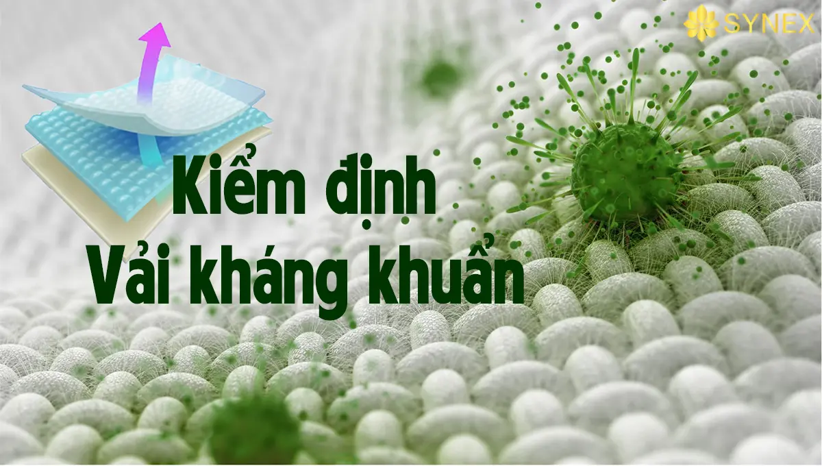 Quy trình kiểm định vải kháng khuẩn: những điều cần biết để có được chọn lựa chính xác