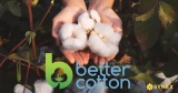 BCI Cotton – Sáng kiến Cotton tốt hơn